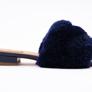 Ladybird flat Dark Blue